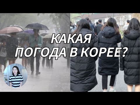 Видео: Погода и климат в Сеуле