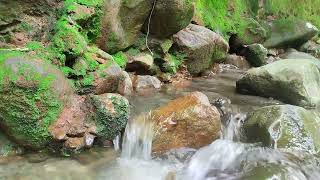 The sound of flowing water to relieve stress, make you calm and sleep quickly