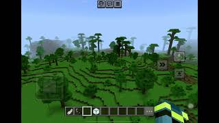 Minecraft elytra fail, ￼