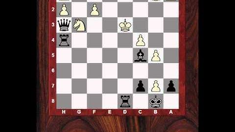 Chess World.net : Concept battle!: "Check all Checks!" vs "Docking Computer" (Chessworld.net)