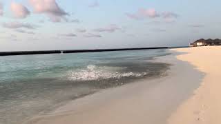 Fish Dancing On Beach In Maledives With Mesmerising View .