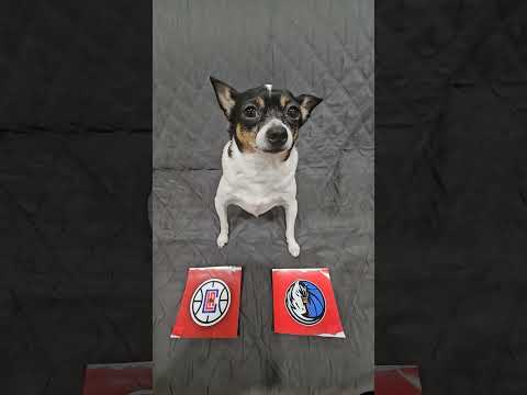 Clippers vs Mavericks Game 3 #nba #nbapredictions #nbaplayoffs #losangelesclippers #dallasmavs #dog