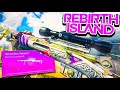 THE NEW LW3A1 BUILD IS INSANE On Rebirth Island