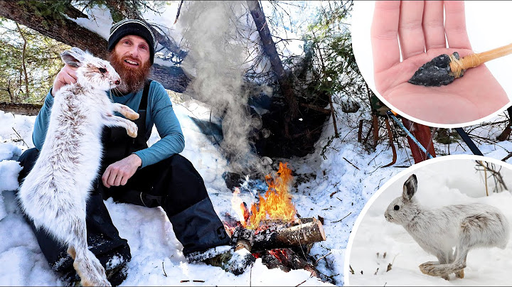 Extreme Winter Survival Camping - No Tent, Sleeping Bag, or Food - Snaring, Primitive Bowhunting