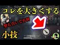カスタムパネルのちょっとした小技！初心者向け？【荒野行動】