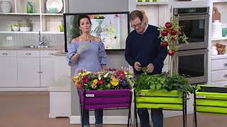 Vegtrug Poppy Deluxe Folding Raised Garden Planter on QVC