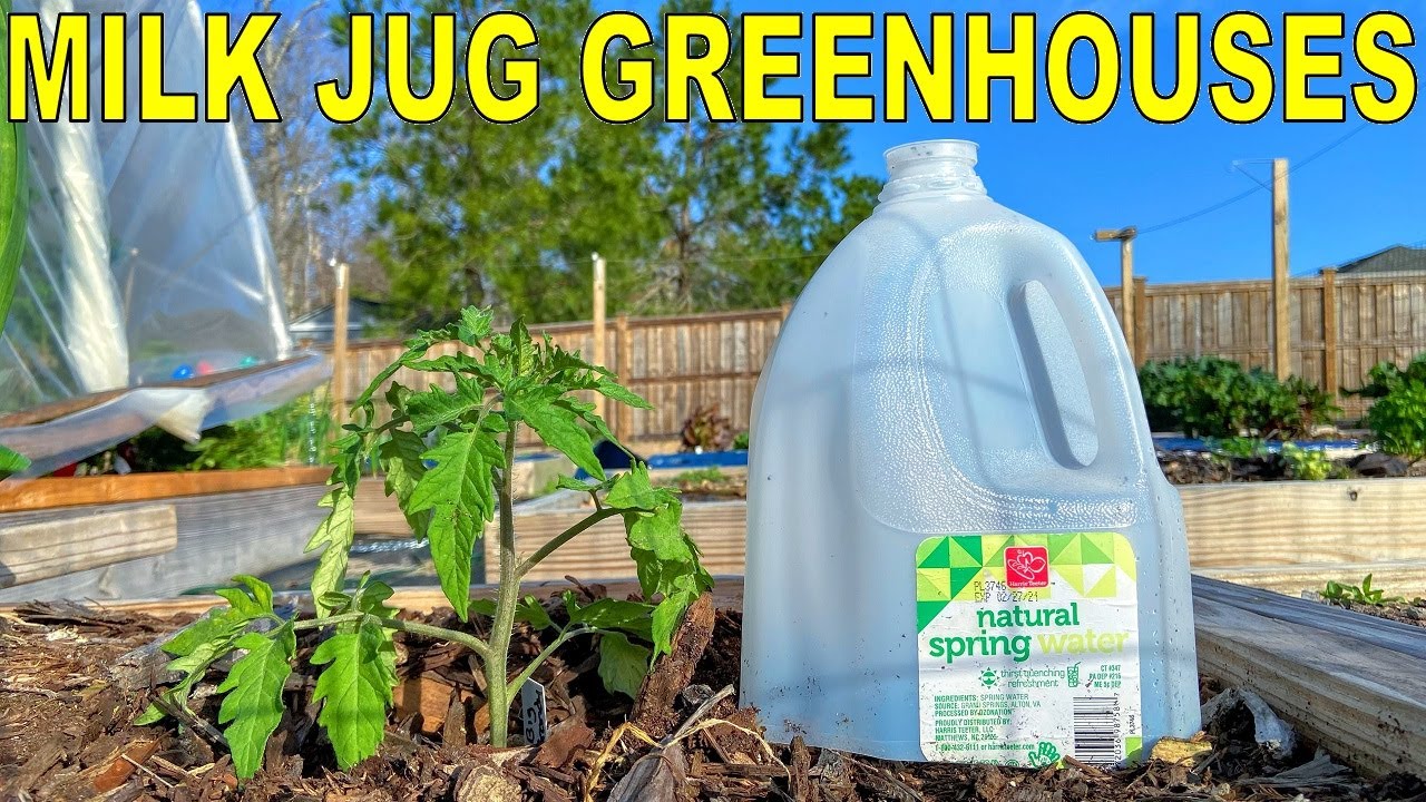 Home and Garden: 35 Uses for Plastic Milk Jugs