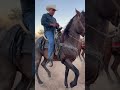 Enfiestados en Huatabampo 🔥🐴🤠