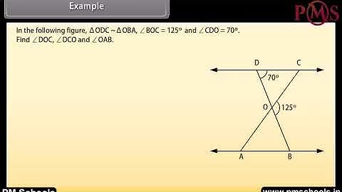 NCERT|CBSE Class-10-Maths|Triangles 1|Animation in english|easy and Fun