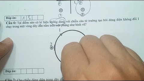 VẬT LÍ 12 -BÀI TẬP CẤU TRÚC MỚI - TỪ TRƯỜNG VÀ ĐƯỜNG SỨC TỪ