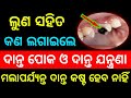 Odia Gk Questions And Answers || Odia Gk Quiz || General Knowledge Odia || Odia Gk Quiz || Gk2025