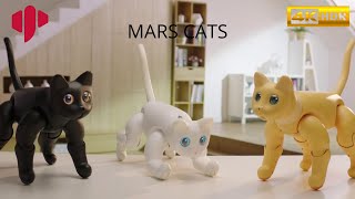 The Amazing Cute cat Robot Mars cat