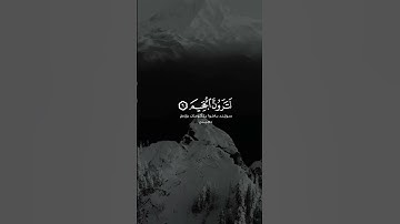 خالد الجليل سورة التكاثر