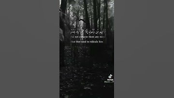 قرآن كريم //القارئ شريف مصطفي /✨🌿سورة يس //حالات واتساب قرآن