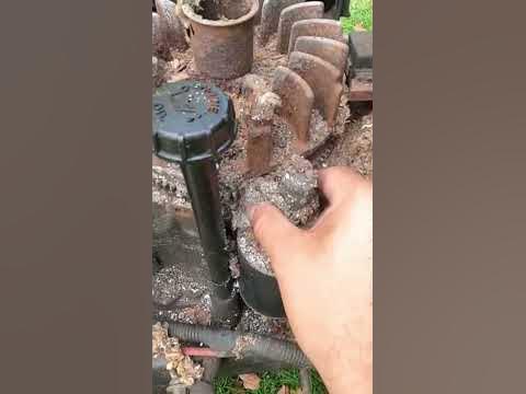 Huge mouse nest under the engine cover #diy #mower #smallenginerepair #
