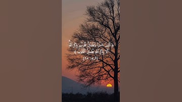 سورة الرعد ( الآية ٢٨ ) الشيخ محمد صديق المنشاوي #قرآن #المصحف #المنشاوي