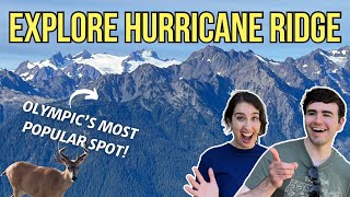 THIS is How to EXPERIENCE Hurricane Ridge Area of OLYMPIC NATIONAL PARK