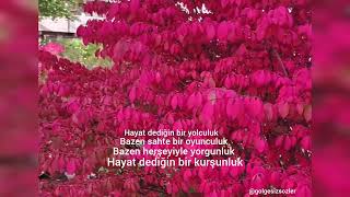 İlhan İremden Konuşamıyorum.. Harika Bir Şarkı.
