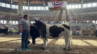 Birthday week was good for Iowa teen  Mason Shalla wins 4H Grand Champion Market Steer