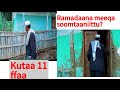 Qe Ee Abbaa Tamaam Laaloo Kutaa 11ffaa Qe Ee Abbaa Tamaam Laaloo Kutaa 11ffaa