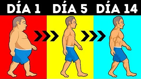 ¿Cuántas calorías debo ingerir para perder un kilo a la semana?