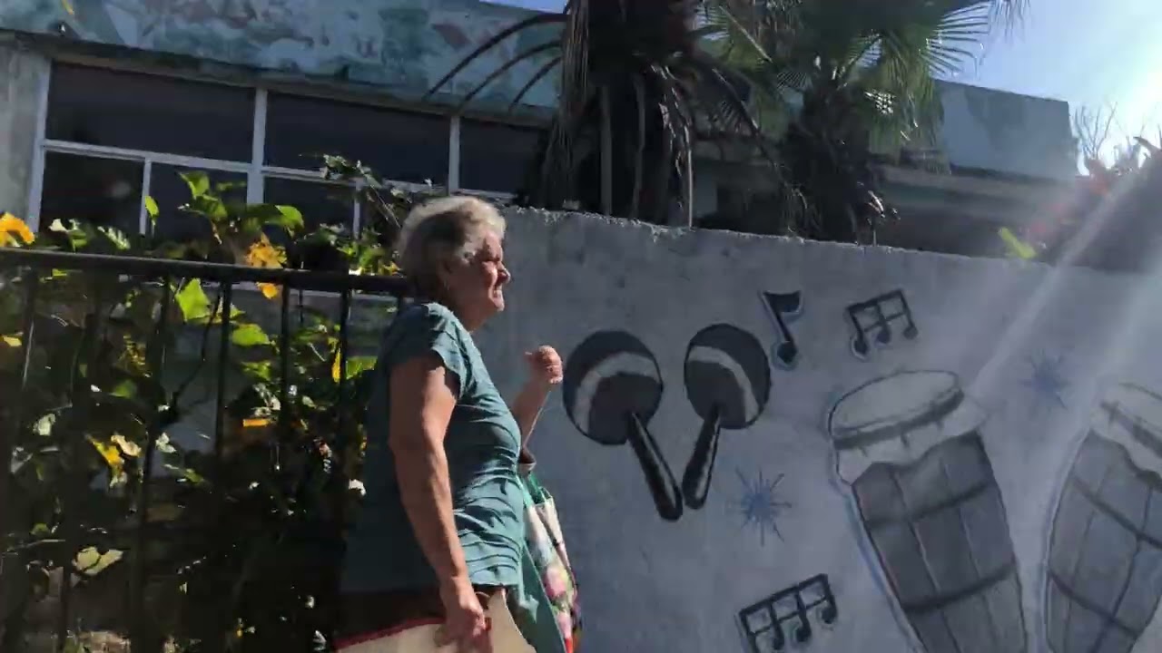 Camino zona 7 pasando casa de cultura hasta 12 planta coco 1..Alamar 