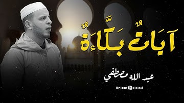 صوت يروي العطش الإيماني.. تلاوة خاشعة بصوت الشيخ عبدالله مصطفى تُعيد للقلب سكينته 💧
