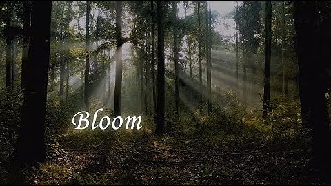 Piperlain - Bloom - Lyric Clip