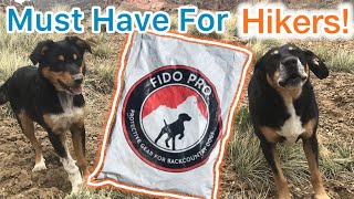 Best Way To Carry Your Dog If They Are Hurt While Hiking