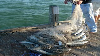 Everyone should watch this Fishermen's video - Amazing Cast Net Fishing Mullet on The Beach