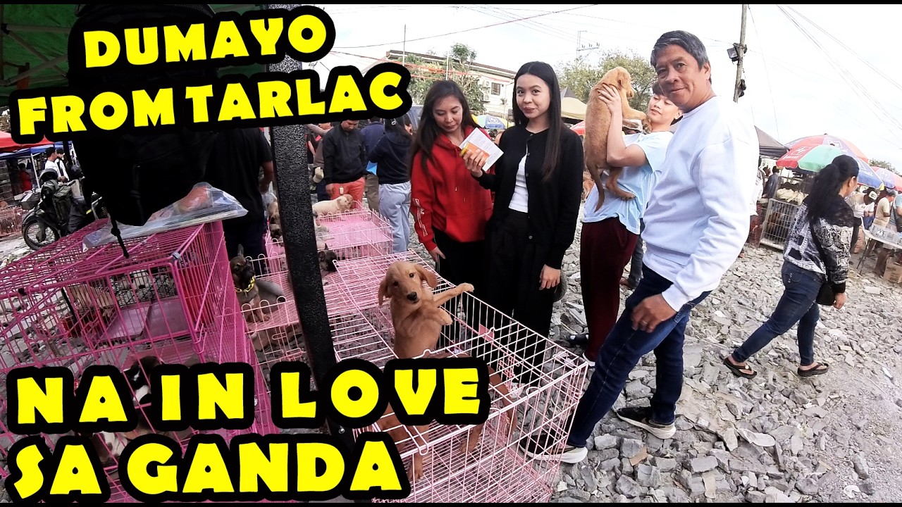 BOCAUE PET TIANGGE FEB 6, 2026