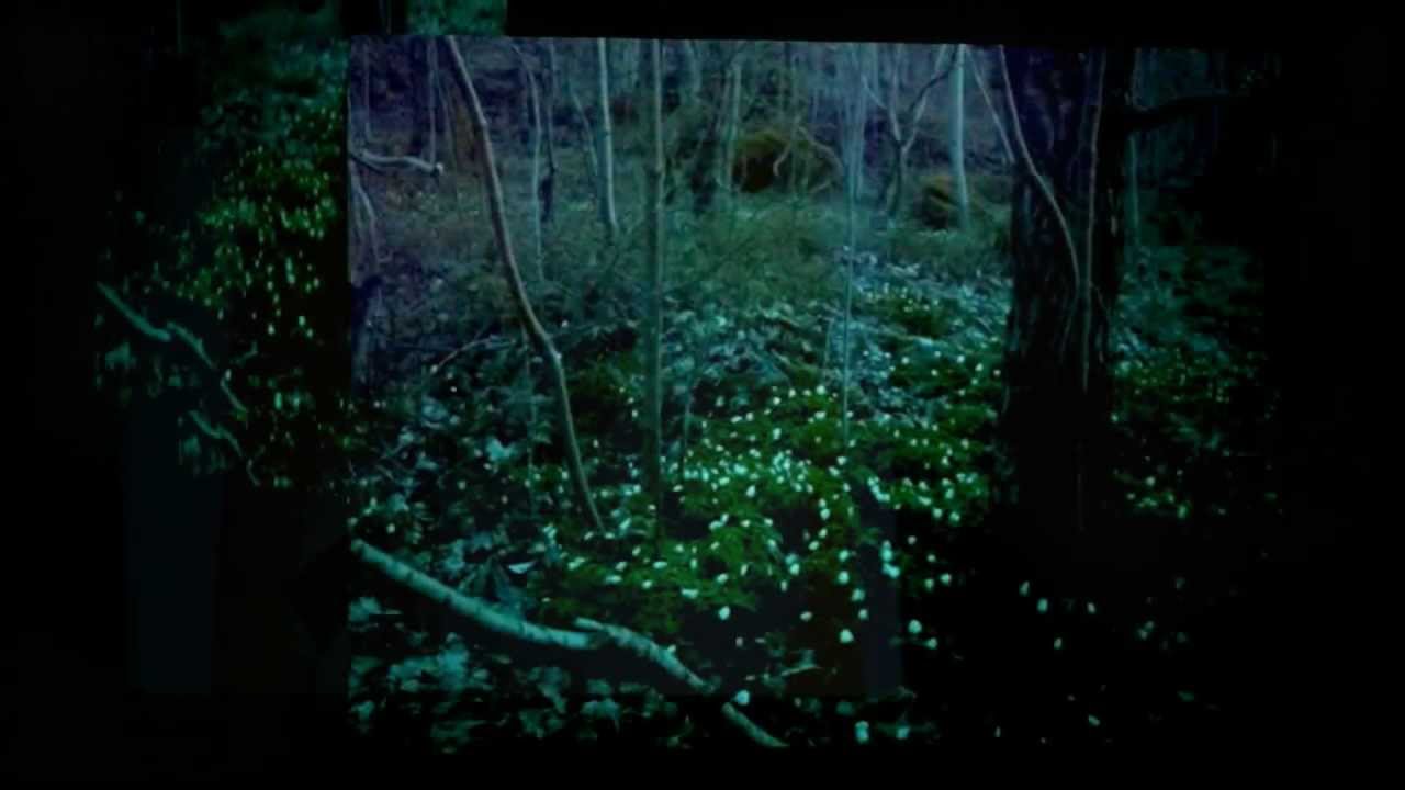 this is paPa hiiRM ... i reaLLy Care About Your Life ... Peace . Prayers . Blessings . Joy Happiness