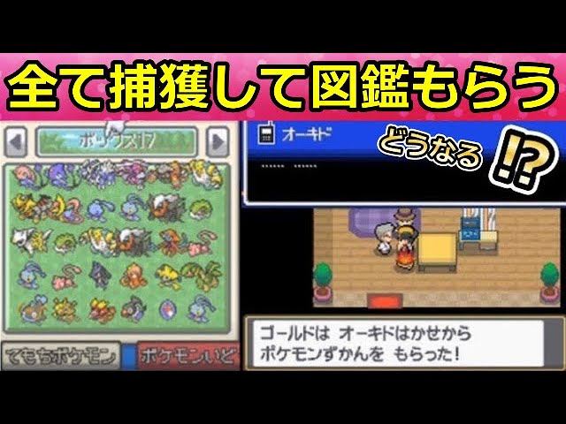 ポケモンhgss ポケモン486匹すべて捕獲して図鑑もらったら オーキド博士の評価はどうなるのか検証 中古ソフトがとんでもないboxだった バーチャルyoutuber Youtube