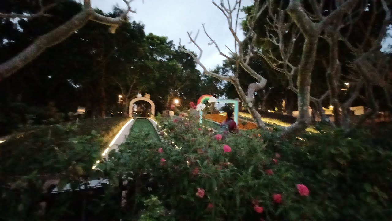 tai-po-waterfront-garden-5-february-day-off-part-3-youtube