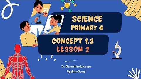 Science Primary 6 First term 2024/25 Concept 1.2 Lesson 2 | شرح ساينس سنة 6 لغات المنهج الجديد