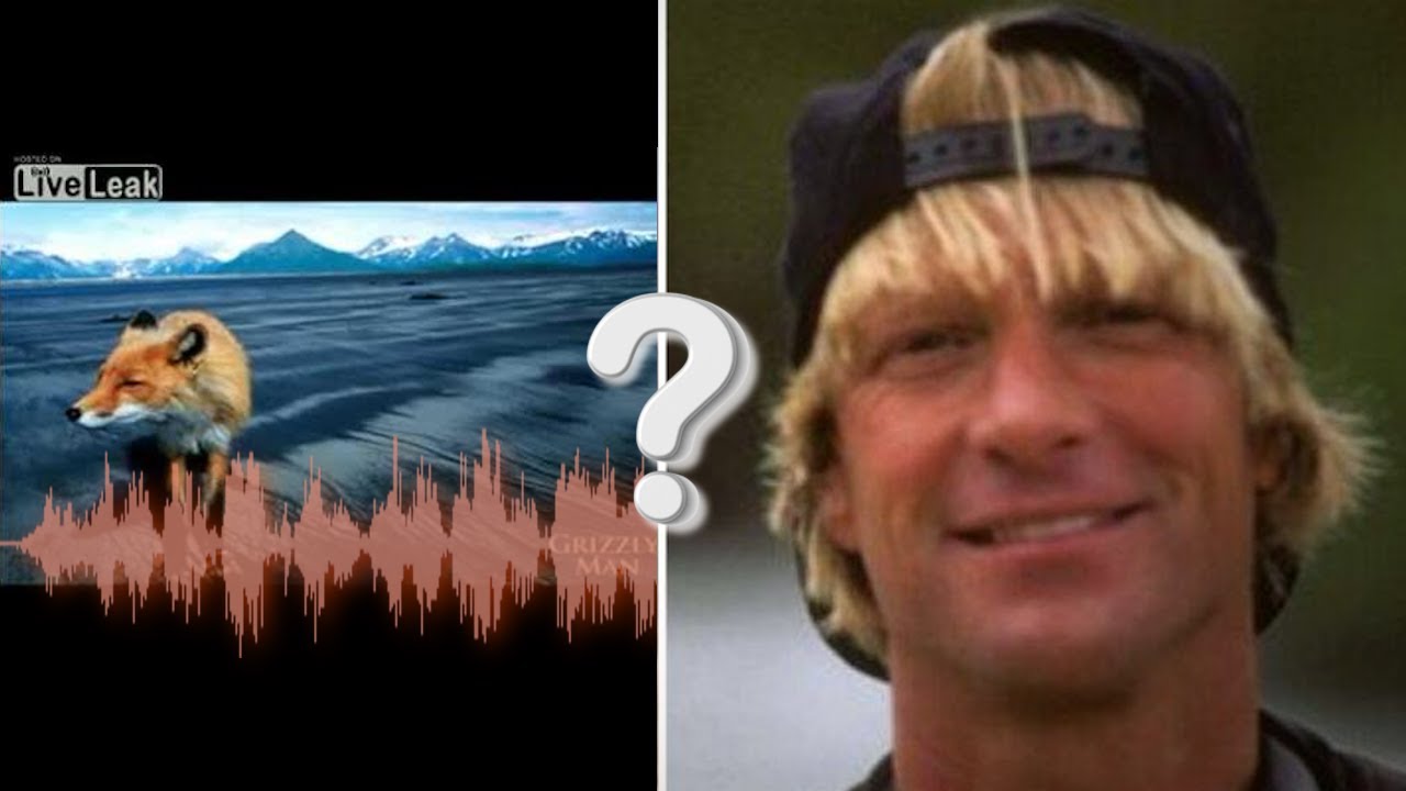 Is this bear attack audio real? (Timothy Treadwell voice comparison