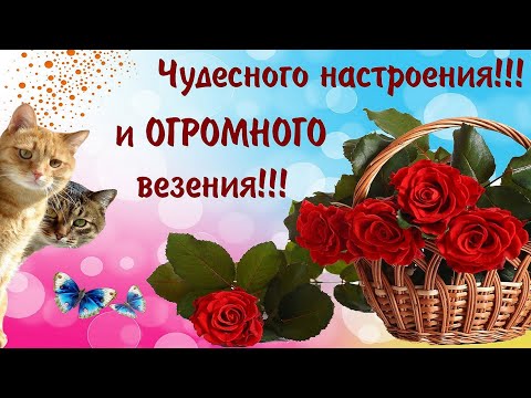 ХОРОШЕГО НАСТРОЕНИЯ😉 ЛУЧШАЯ МУЗЫКАЛЬНАЯ ОТКРЫТКА😇 ОТЛИЧНОГО ДНЯ😎 УЛЫБНИСЬ😊 ВЕДЬ ТЕБЯ КТО-ТО ЛЮБИТ💓