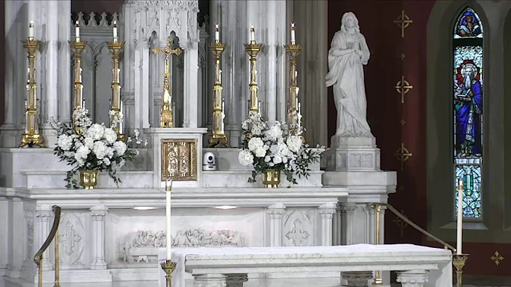 2022 0227 HNJ Sunday 10:30AM Mass - Eighth Sunday in Ordinary Time