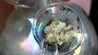 CATPISS BONG LOAD ~ TGIF ~ BIGTOMSCIENCE