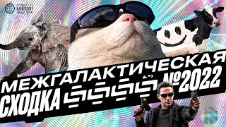 ФАНТАСТИЧЕСКАЯ! МЕЖГАЛАКТИЧЕСКАЯ СХОДКА STOPGAME 2022!