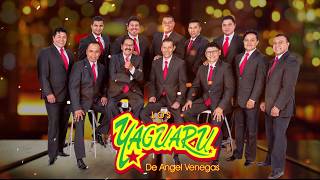 Video thumbnail of "Los Yaguarú de Ángel Venegas - Maldita Traición (Video Lyric)"