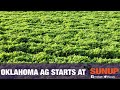 Planting Alfalfa (8/1/20)