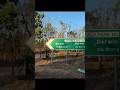 Australia Wild & Nature | Untamed Beauty of the Land Down Under 🇦🇺