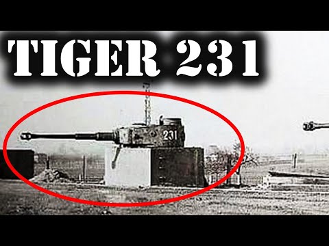 ¿Qué Ocurrió con el TIGER 231? El Final de un Guerrero Legendario