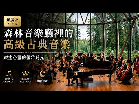 【無廣告】森林音樂廳裡的高級古典音樂 🌲 Luxury Classical • Timeless Elegance • 睡眠 BGM