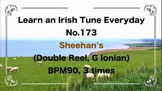 173 Sheehan's  (Double Reel, G Ionian)