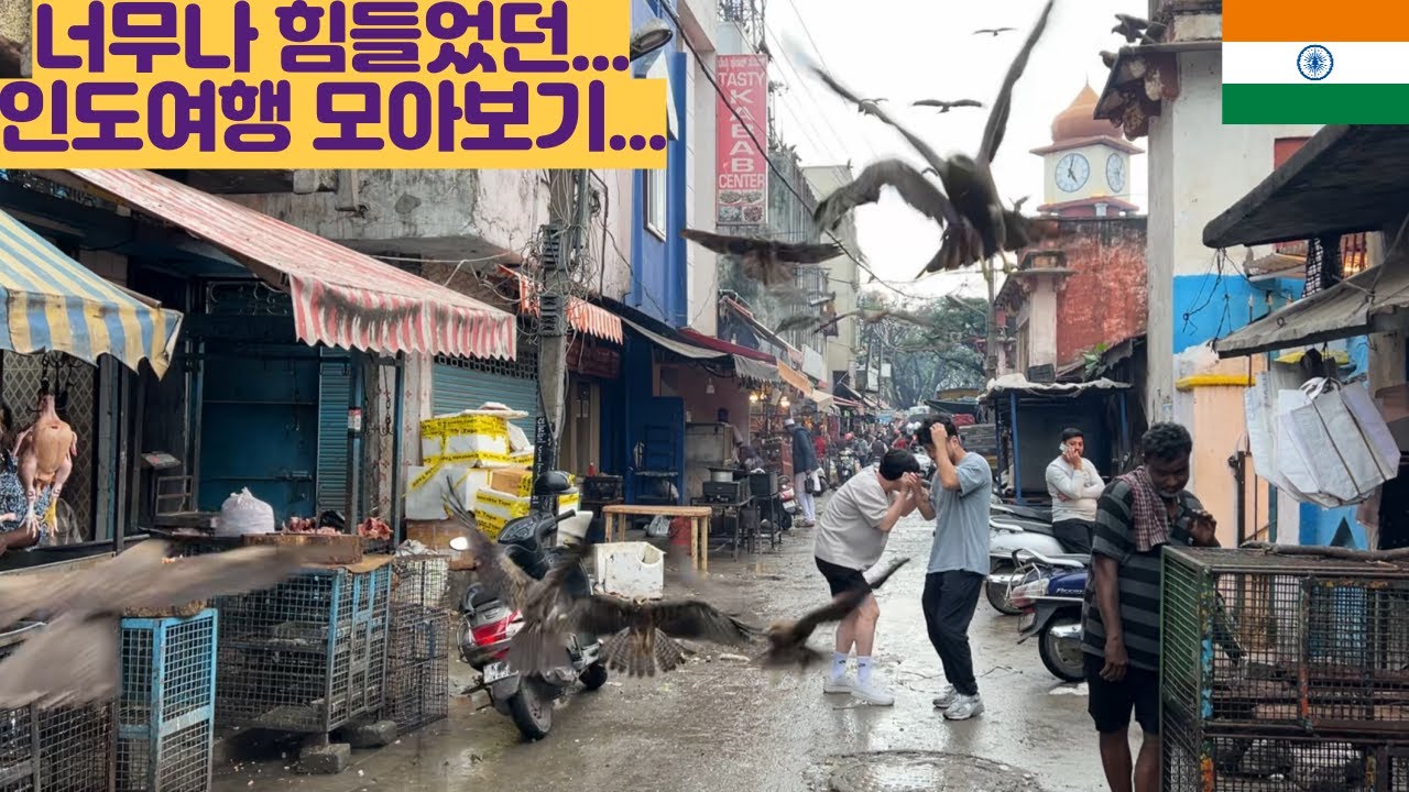 정말 너무 힘들었던...인도 모아보기... 이제 못가...