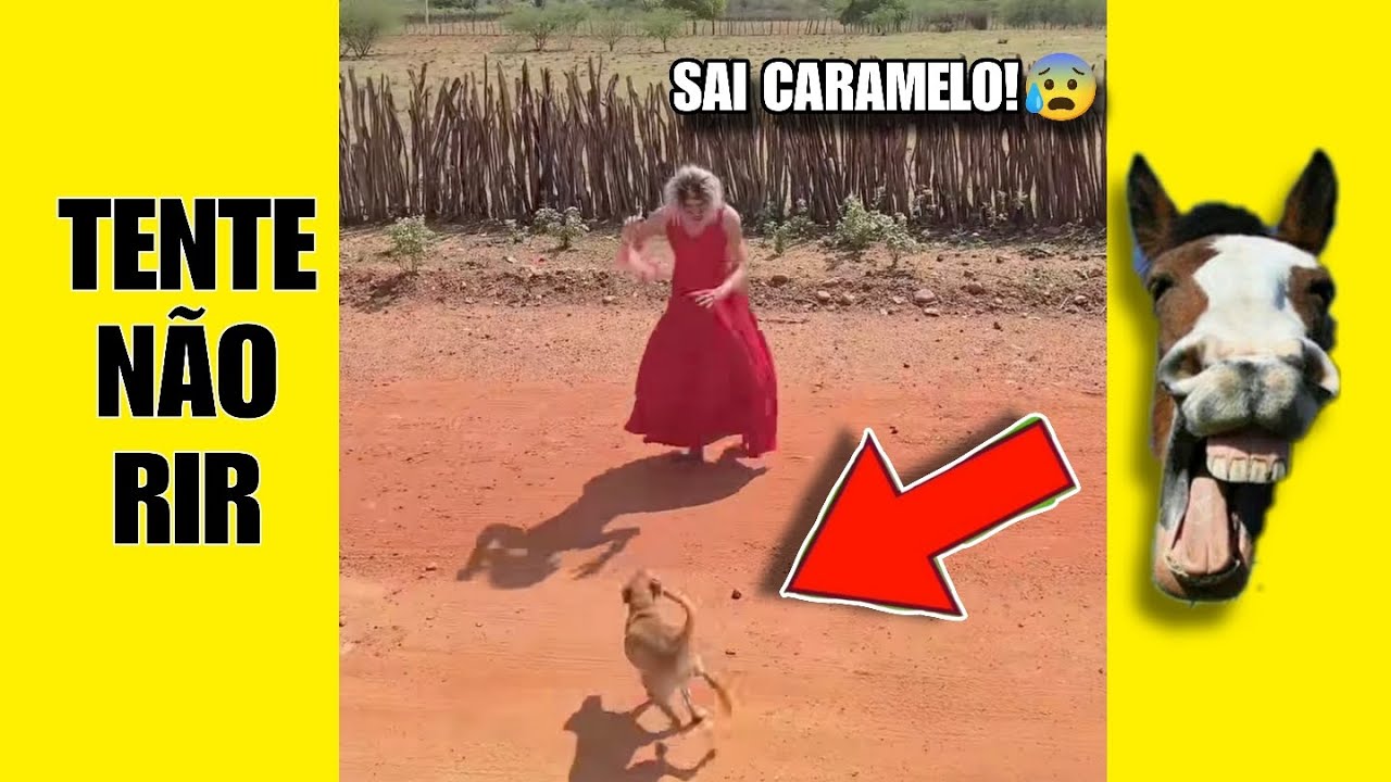 VÍDEOS ENGRAÇADOS 40: TENTE NÃO RIR #videosengracados #humor #comedia #tiktok #memes #tentenaorir 