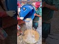 Fische in den Korb: Wie Tradition und Praktik zusammenkommen