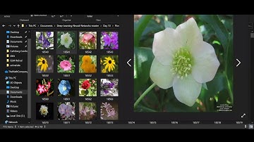 Flower Identification Using Convolutional Neural Networks - 13/15 Deep Learning Apprentice Course